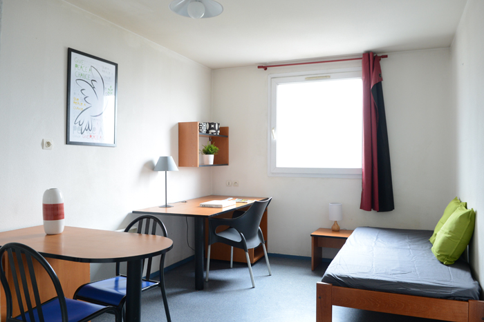 Matisse photo 8