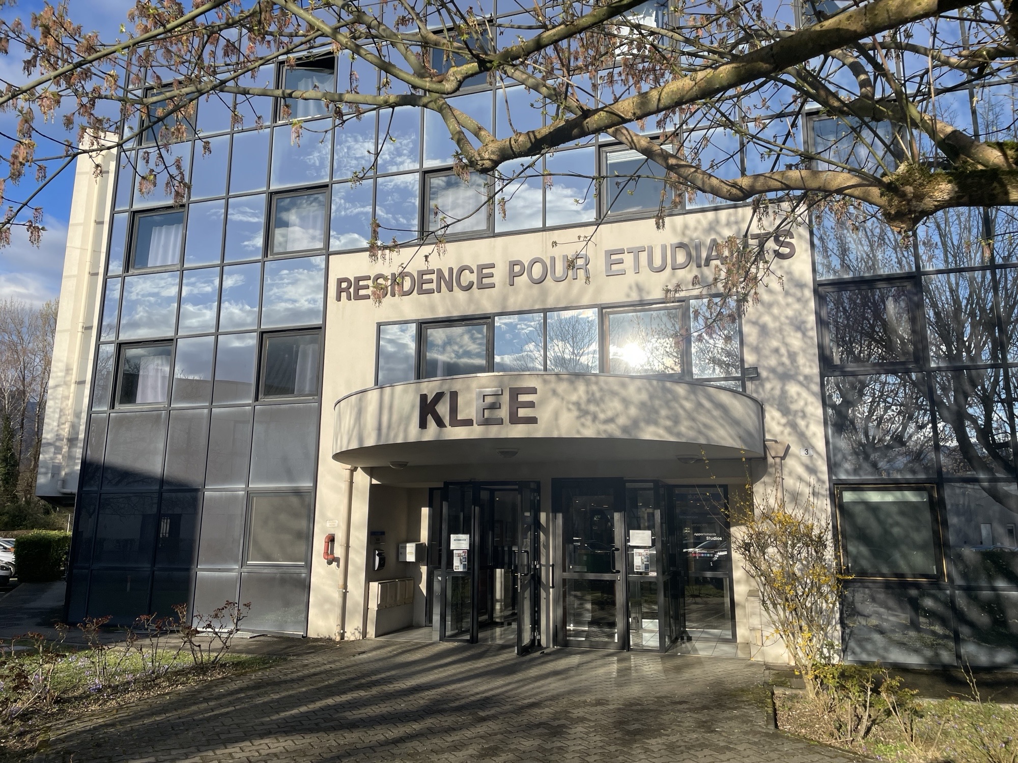 Klee photo 17