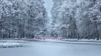 Vue sur un lac gelé 