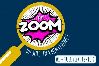 ZOOM de Studélites