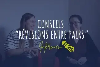 interview vidéo révisions conseils